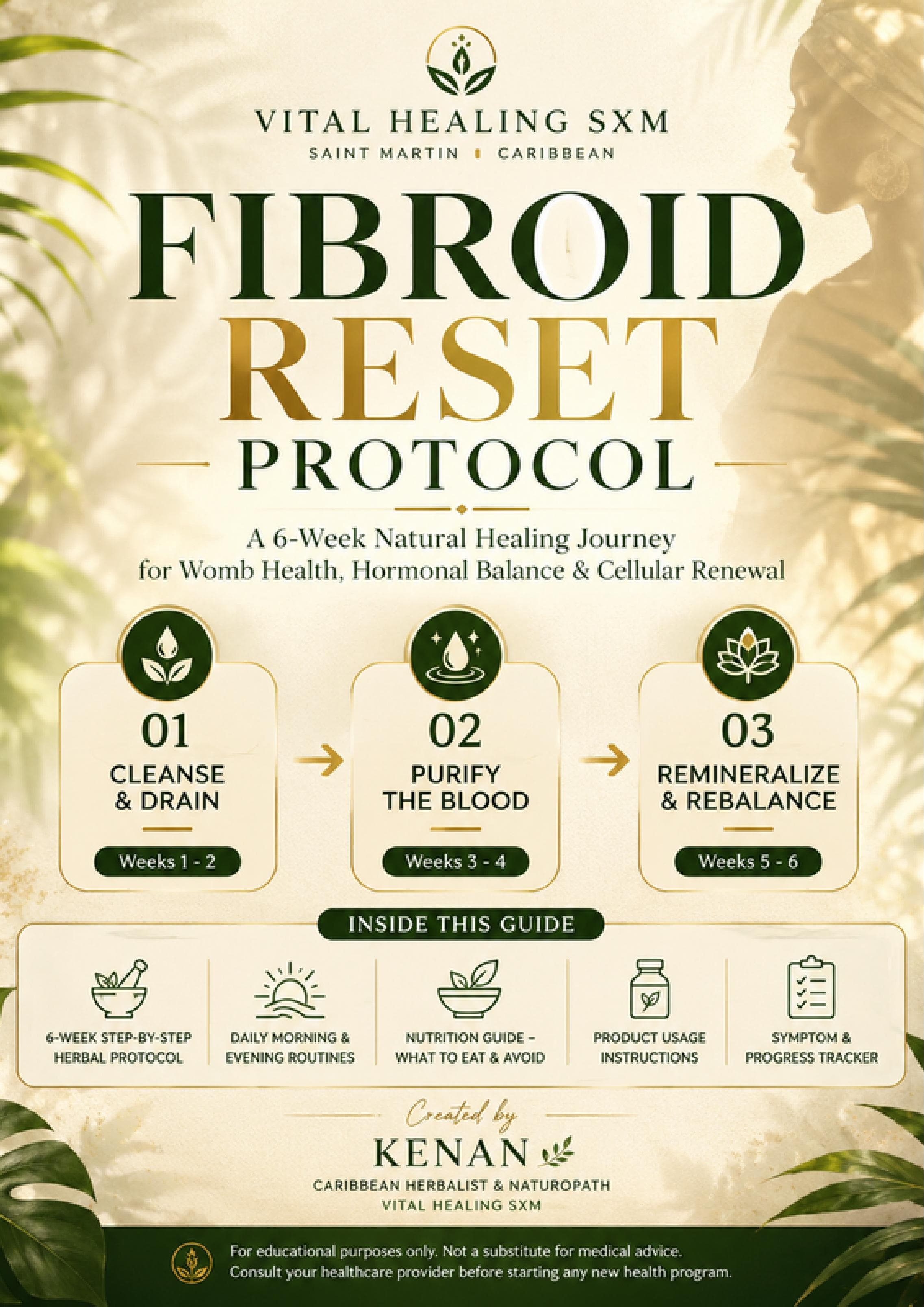 The Fibroid Reset Protocol